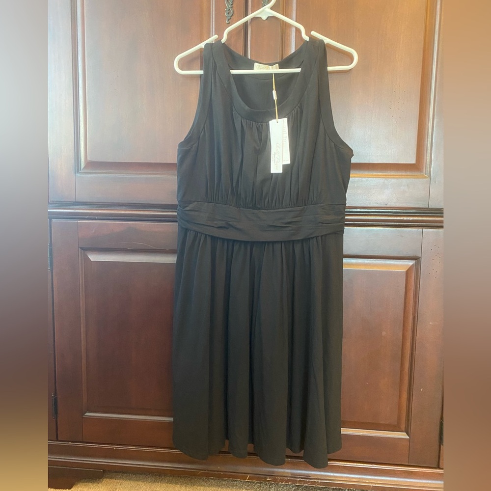 NWT Black Pleated Dress